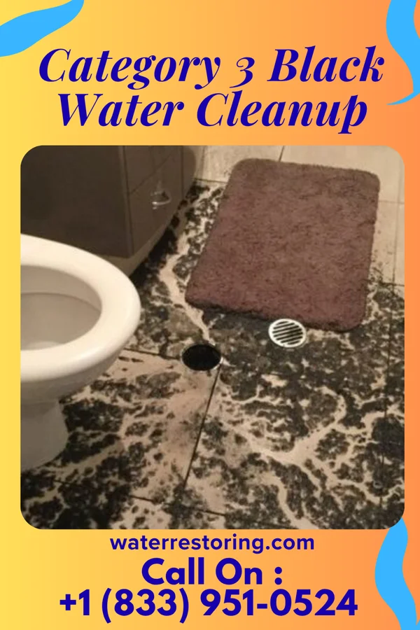 Category 3 Black Water Cleanup in Robesonia, PA