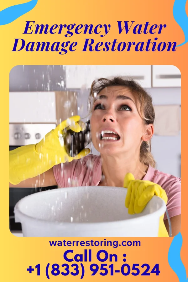 Emergency Water Damage Restoration in Robesonia, PA