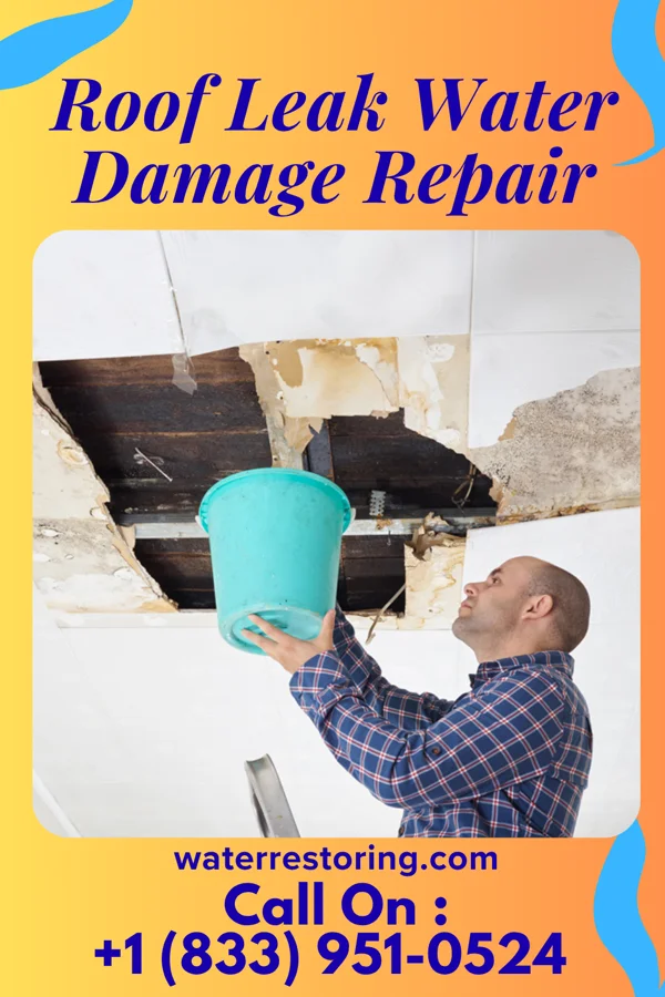 Roof Leak Water Damage Repair in Robesonia, PA