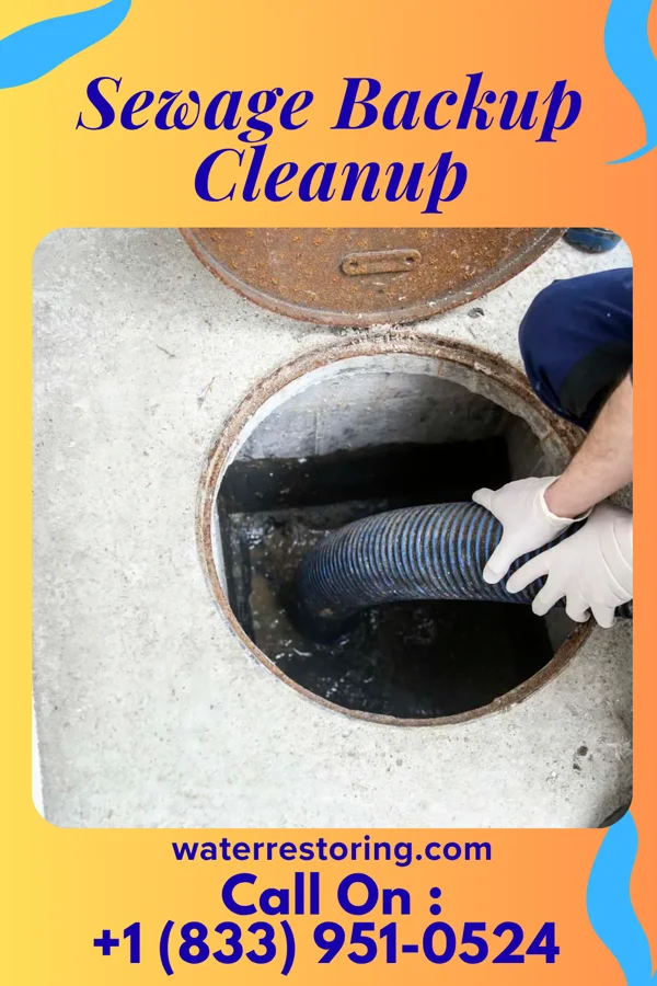 Sewage Backup Cleanup in Robesonia, PA