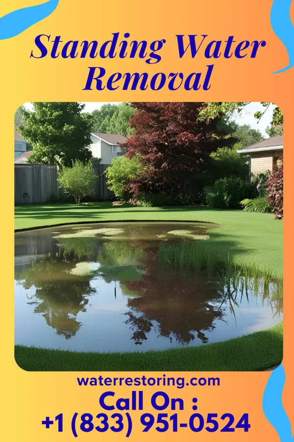 Standing Water Removal in Robesonia, PA